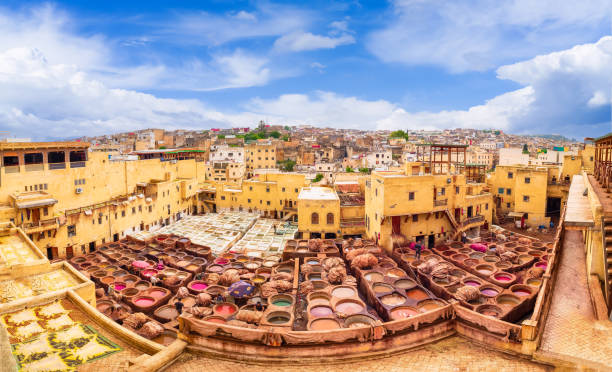 Landscape with tannery in Fez, Morocco Landscape with tannery in Fez town, Morocco fez morocco stock pictures, royalty-free photos & images