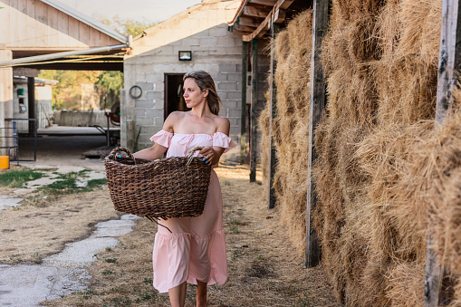Portrait of young woman in summer dress carrying a basket on the farm during summer day