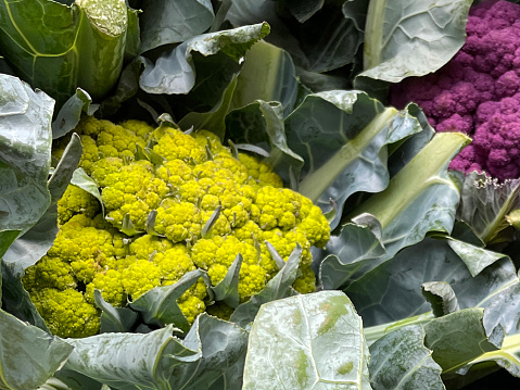 Stock photo showing freshly grown pink purple and yellow cauliflowers, which are being sold at a fruit and veg shop / greengrocer's store.