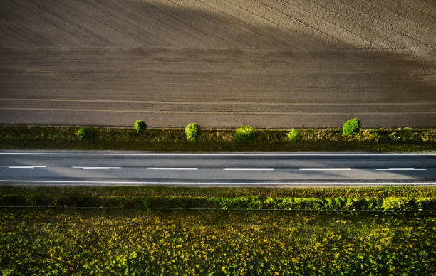 istock Cultivated field and nature 1421818147
