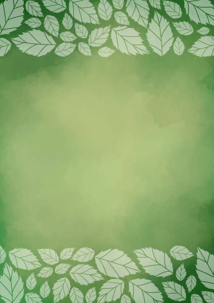 istock Tea leaves frame vector on green watercolor background for decoration on nature and tea concept. 1421818487
