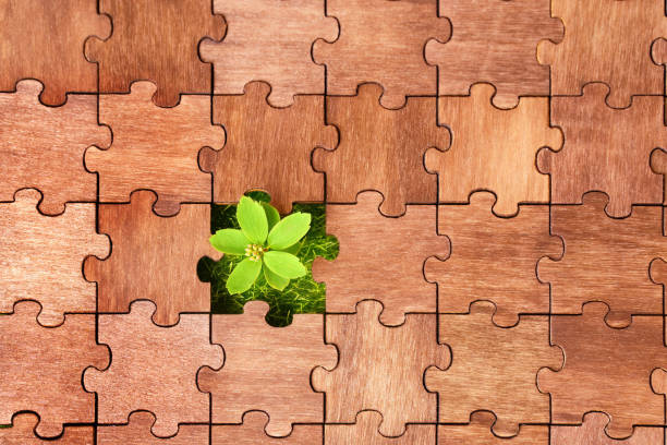 istock Jigsaw puzzle with fresh grass and small plant 1421819728