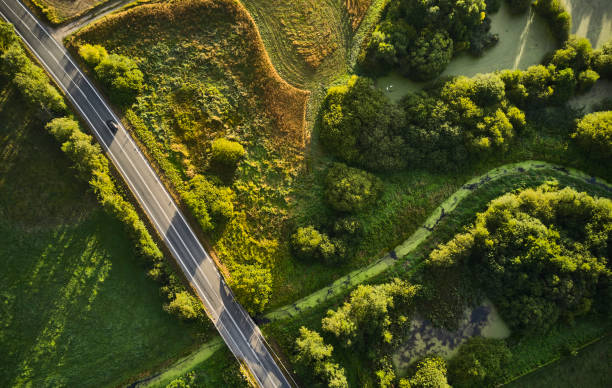 istock Country road through landscape 1421821109