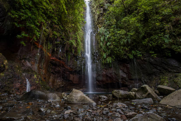 istock Charming waterfall hidden in a forest - main attraction of levada 25 fontes 1421843761
