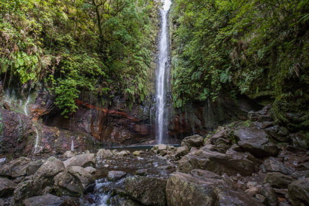 istock Charming waterfall hidden in a forest - main attraction of levada 25 fontes 1421843943