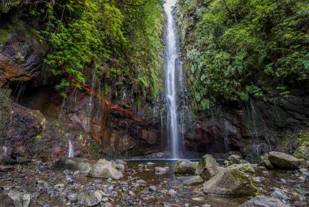 istock Charming waterfall hidden in a forest - main attraction of levada 25 fontes 1421844068