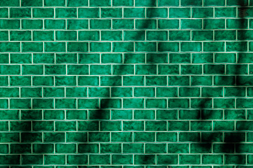 Green tiled wall with shadows.