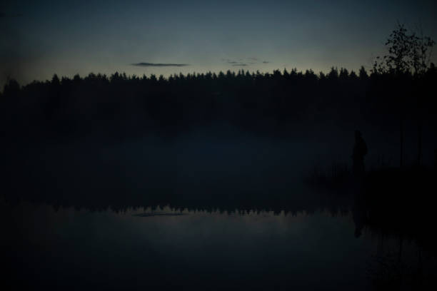 istock Fog on lake before dawn. Morning fog in forest. 1421851579