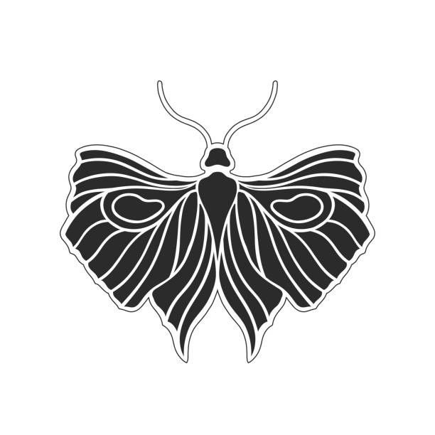 Art nouveau style basic butterfly element. 1920-1930 years vintage design. Symbol motif design. Isolated on white. Art nouveau style basic butterfly element. 1920-1930 years vintage design. Symbol motif design. Isolated on white. Vector illustration. butterfly tattoo stencil stock illustrations