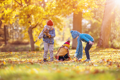 Children playing together in colourful natural park in autumnal day. Concept of friendship and family weekend.