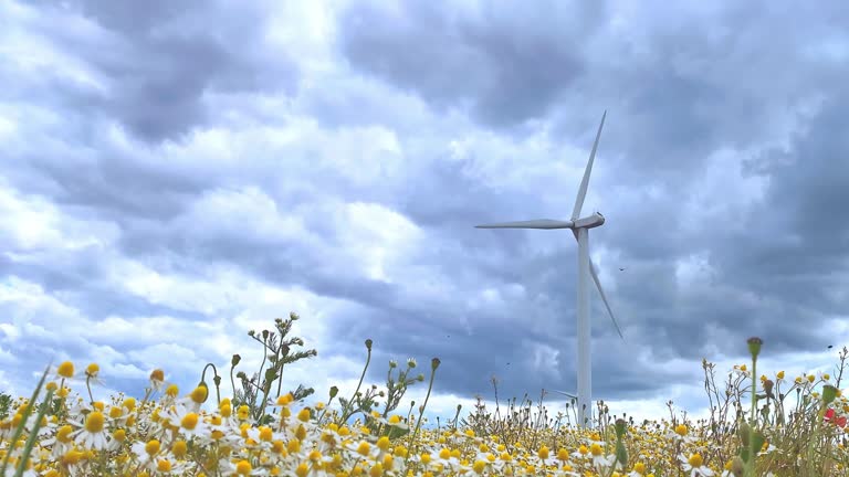 WIND TURBINES with blades moves in a green field with daisies against a blue sky covered with clouds. Green and renewable energy concept. Alternative energy. Sustainable development. View from field.