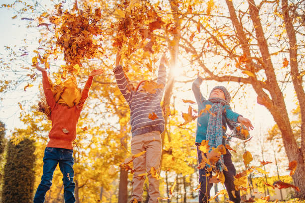 Children playing together in colourful natural park in autumnal day stock photo