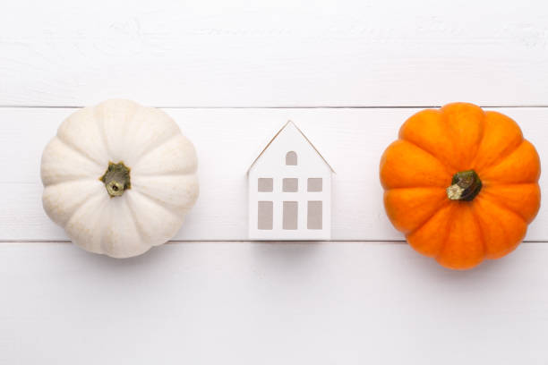 istock Decorative pumpkins on the wooden background 1421861946