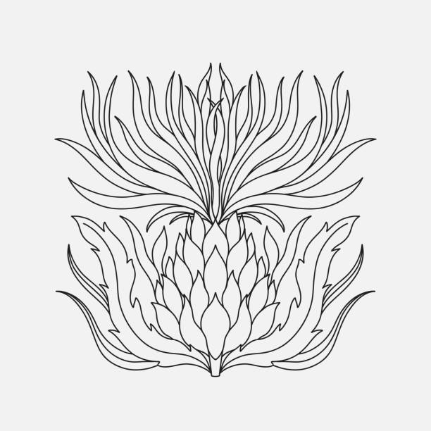 Art nouveau style flower plant stencil basic element. 1920-1930 years vintage design. Symbol motif design. Art nouveau style flower plant stencil basic element. 1920-1930 years vintage design. Symbol motif design. Vector illustration. thistle tattoo designs stock illustrations