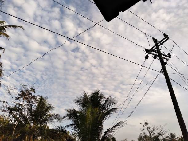 istock Power poles and trees under the blue sky 1421864926