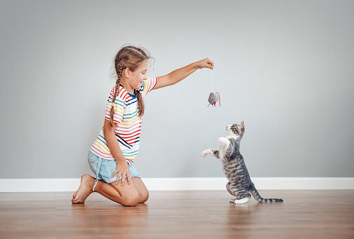 Cute girl playing with her little kitten at home. Concept of friendship between human and domestic animal.