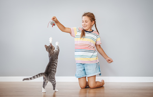 Cute girl playing with her little kitten at home. Concept of friendship between human and domestic animal.