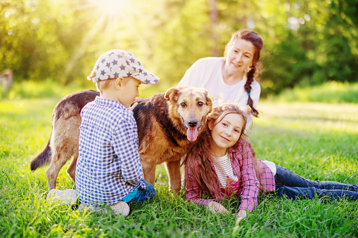 Children and mother with a dog in nature. Family with a pet outdoors in summer