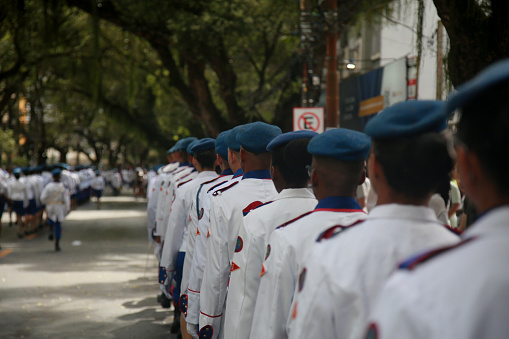 salvador, bahia, brazil - september 7, 2022: members of the military school fanfare participate in the military parade commemorating the independence of Brazil, in the city of Salvador.