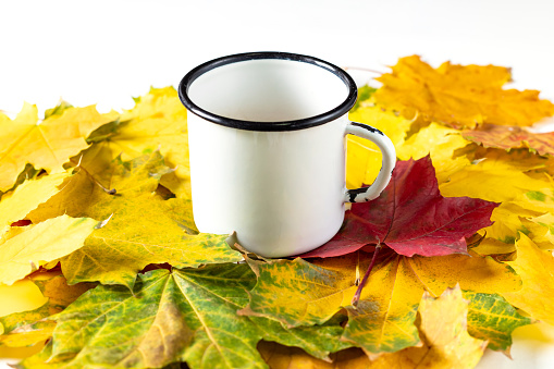White cup with coffee or tea on colorful autumn maple leaves