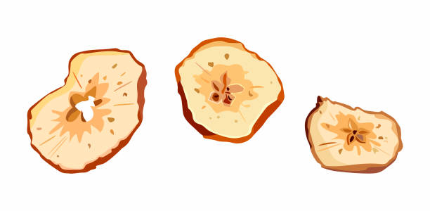 말린 사과들 - dried apple stock illustrations