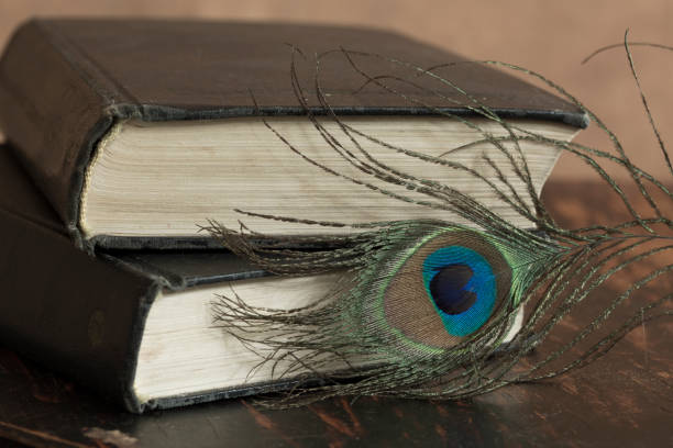 istock peacock feather and old books on a wooden background 1421885366
