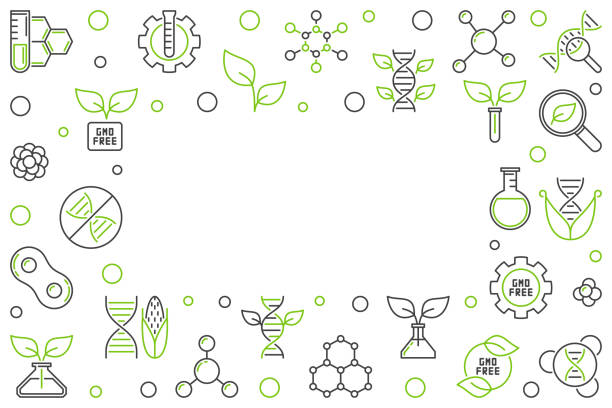 GMO Free concept vector horizontal outline creative frame GMO Free concept vector horizontal outline creative frame or illustration dna borders stock illustrations