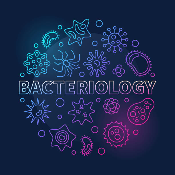 Bacteriology Graphics 60+ Bacteriology Illustrations, Royalty-Free Vector Graphics & Clip Art ...