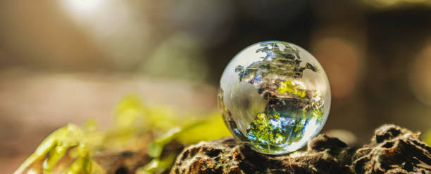 istock globe glass on rock with sunshine. environment concept 1421893479
