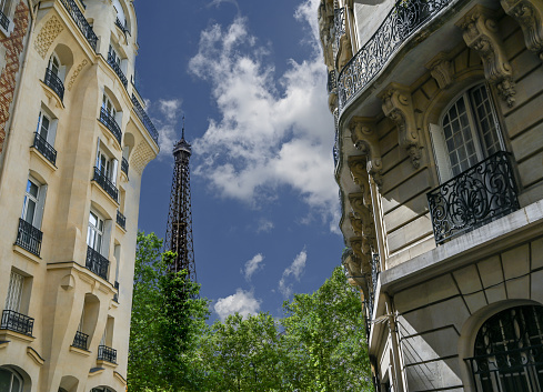 Paris, France. June 2022. Amazing shot of the Eiffel Tower rising between the buildings of the old town and the canopy of trees.