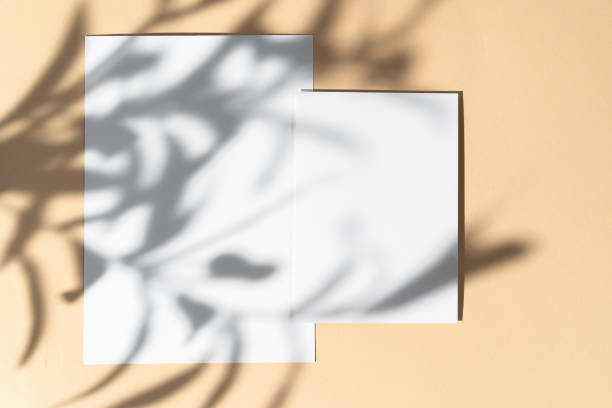 istock Blank white businesscard on beige background with creative floral shadow 1421906126