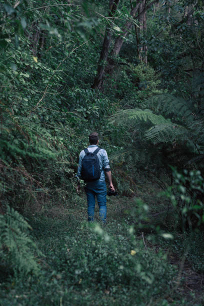 istock Man walking among the rainforest while holding his camera in the hand. Unrecognizable person 1421907089