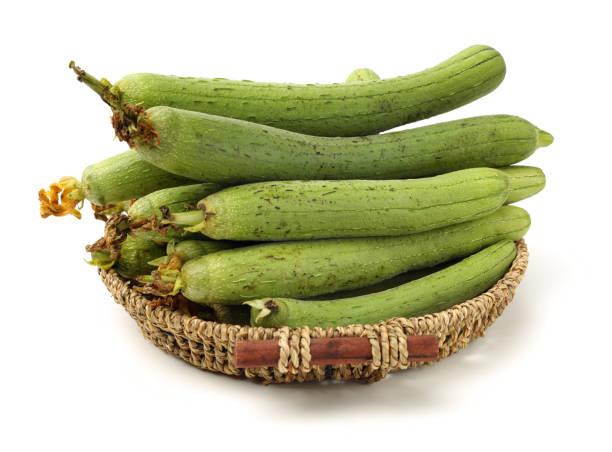 fresh loofah fresh loofah on the white background slate ridge stock pictures, royalty-free photos & images