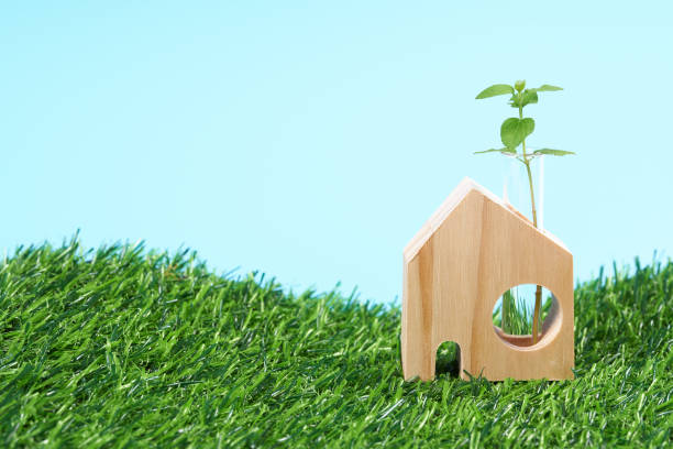 istock wooden house on grass 1421910993