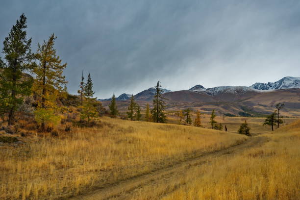 istock The road goes into autumn 1421913066