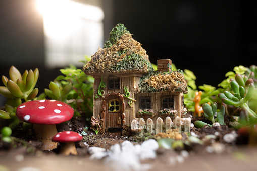 Miniature Fairy Garden Indoor