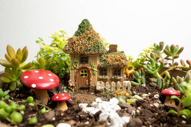 Miniature Fairy Garden