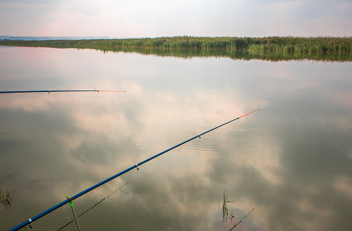 Two fishing rods reflected in the water surface, the reflection of clouds. A quiet hobby.