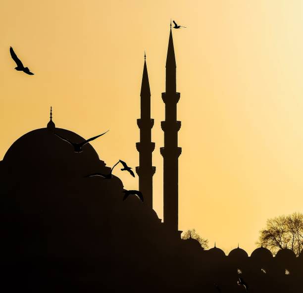 istock Suleymaniye mosque and sunset 1421916534