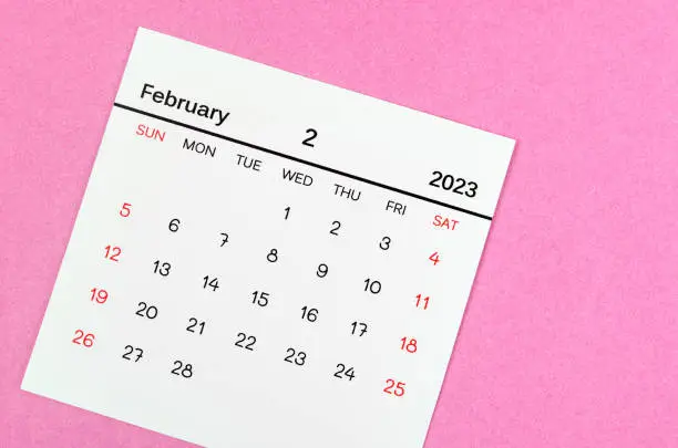 February 2023 Monthly calendar for 2023 year on pink background.