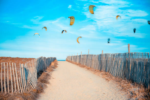 Kiting sport on the beach on a strong wind Kite surfing on the wind at the sky above the sand beach kite sailing stock pictures, royalty-free photos & images