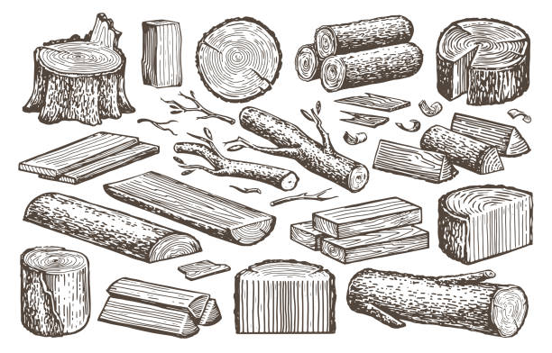 Wood Log Drawing