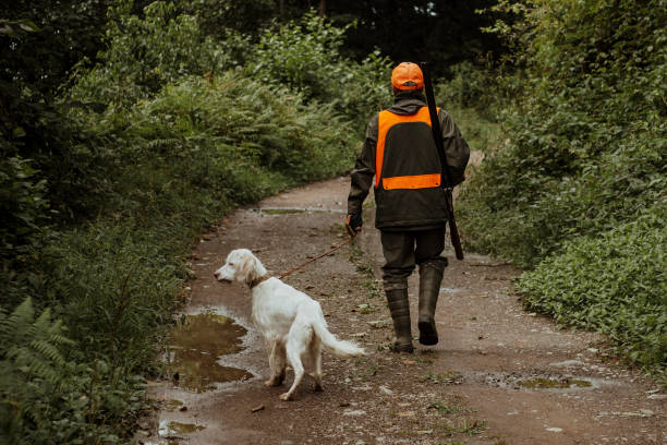 reifer männlicher jäger in modernen kleidern, der mit seinem hund auf einem feldweg spazieren geht - gmail stock-fotos und bilder