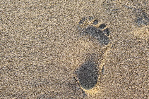 on the sea shore, the footprints erased by the waves on the sand