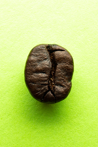 Coffee Bean Macro - Neon Green Background