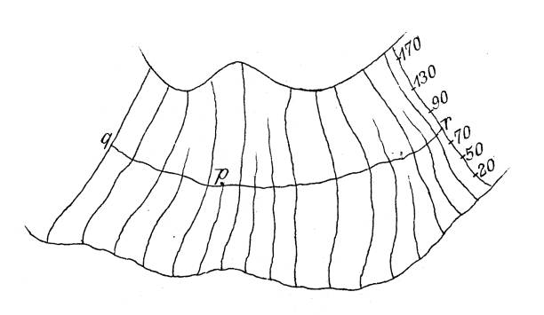 Orthogonal Geomtery Contour Plot 60+ Orthogonal Projection Stockillustraties, royalty-free vector ...