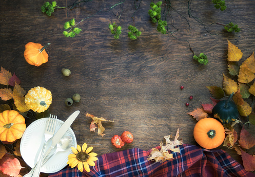 Autumn dining with pumpkins, gourds and holiday decor arranged on an old wood background