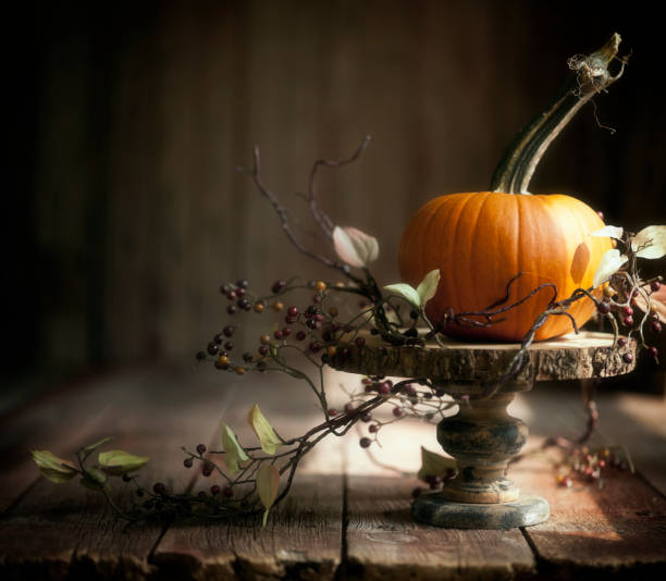 fondo de calabaza - pumpkin simplicity rustic old fotografías e imágenes de stock