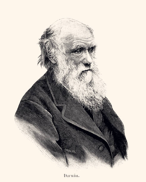 illustrazioni stock, clip art, cartoni animati e icone di tendenza di charles darwin: naturalista inglese (xxxl con molti dettagli) - paleontologo