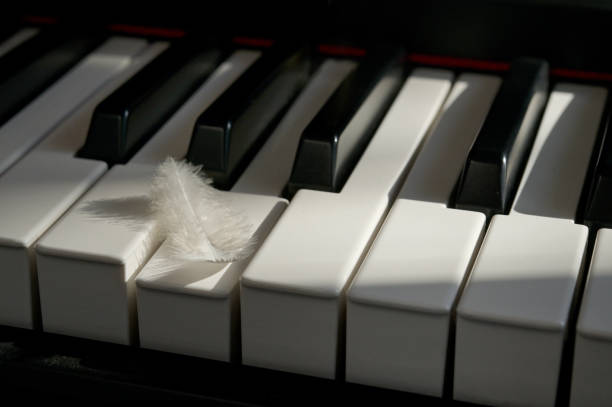 istock White Feather touching keyboard of piano 1421935099